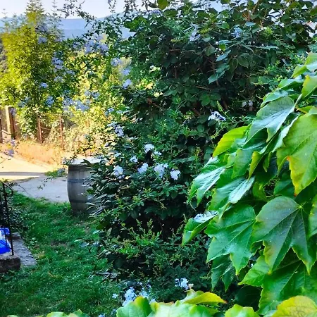 Casa Di Minnana Apartamento Petreto-Bicchisano